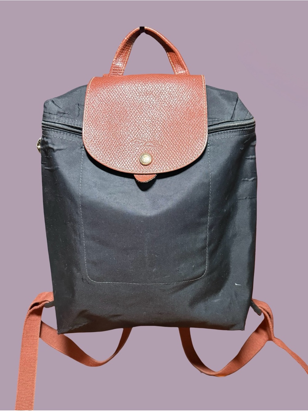 Authenic Longchamp Le Pliage Original Backpack